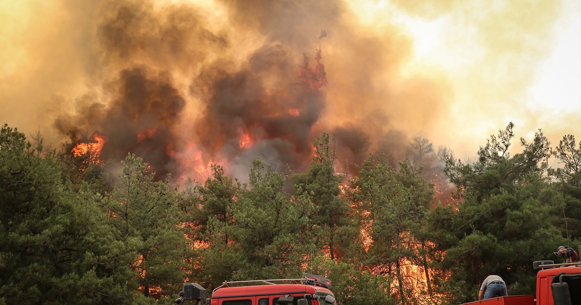 İlçe Tarım Müdürlüğü’nden kritik açıklama