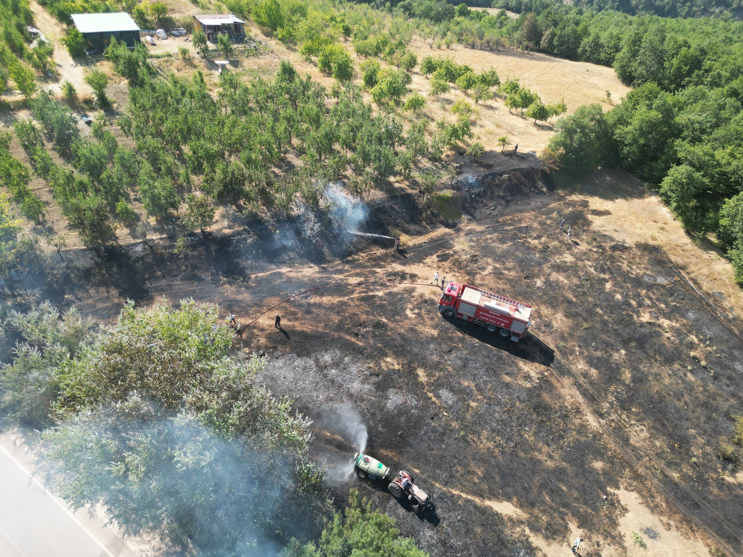 Anız yangını ağaçlık alana sıçradı