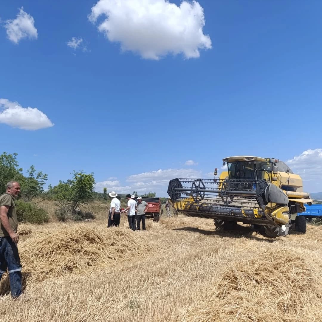 İnegöl Tarım Müdürlüğü hasat döneminde sahada, dane kaybı ve yangın riskine karşı önlem