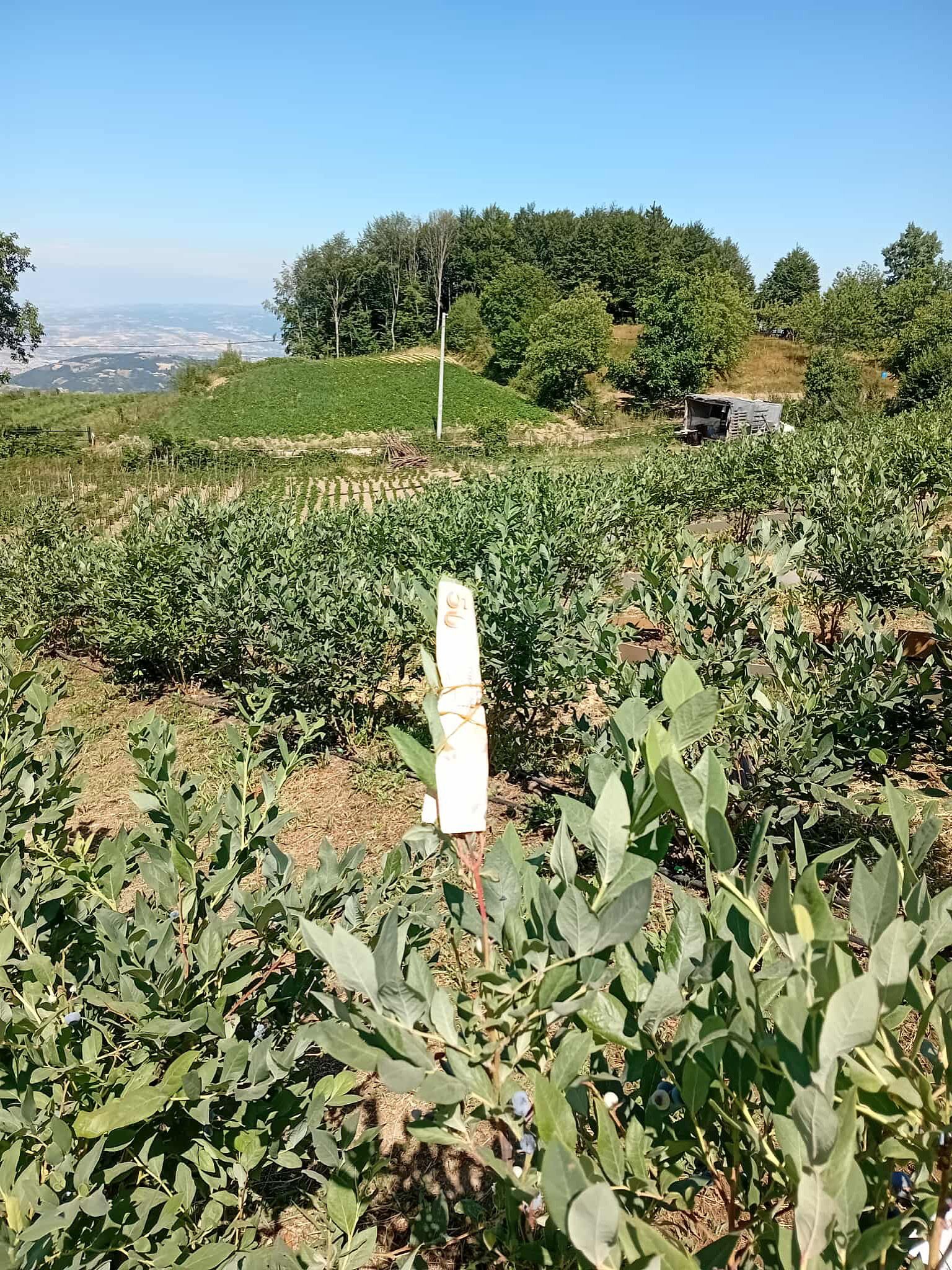 Tuzla’da duyarlılık örneği