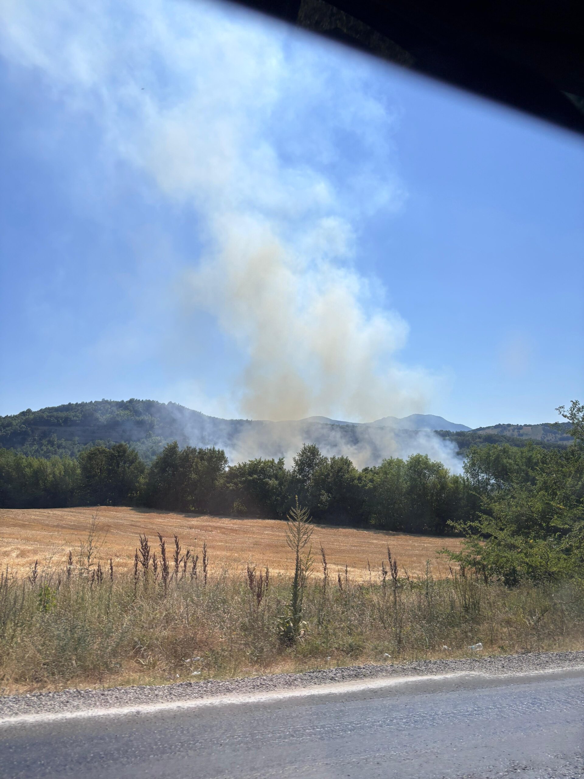 Hacıkara’da orman yangını