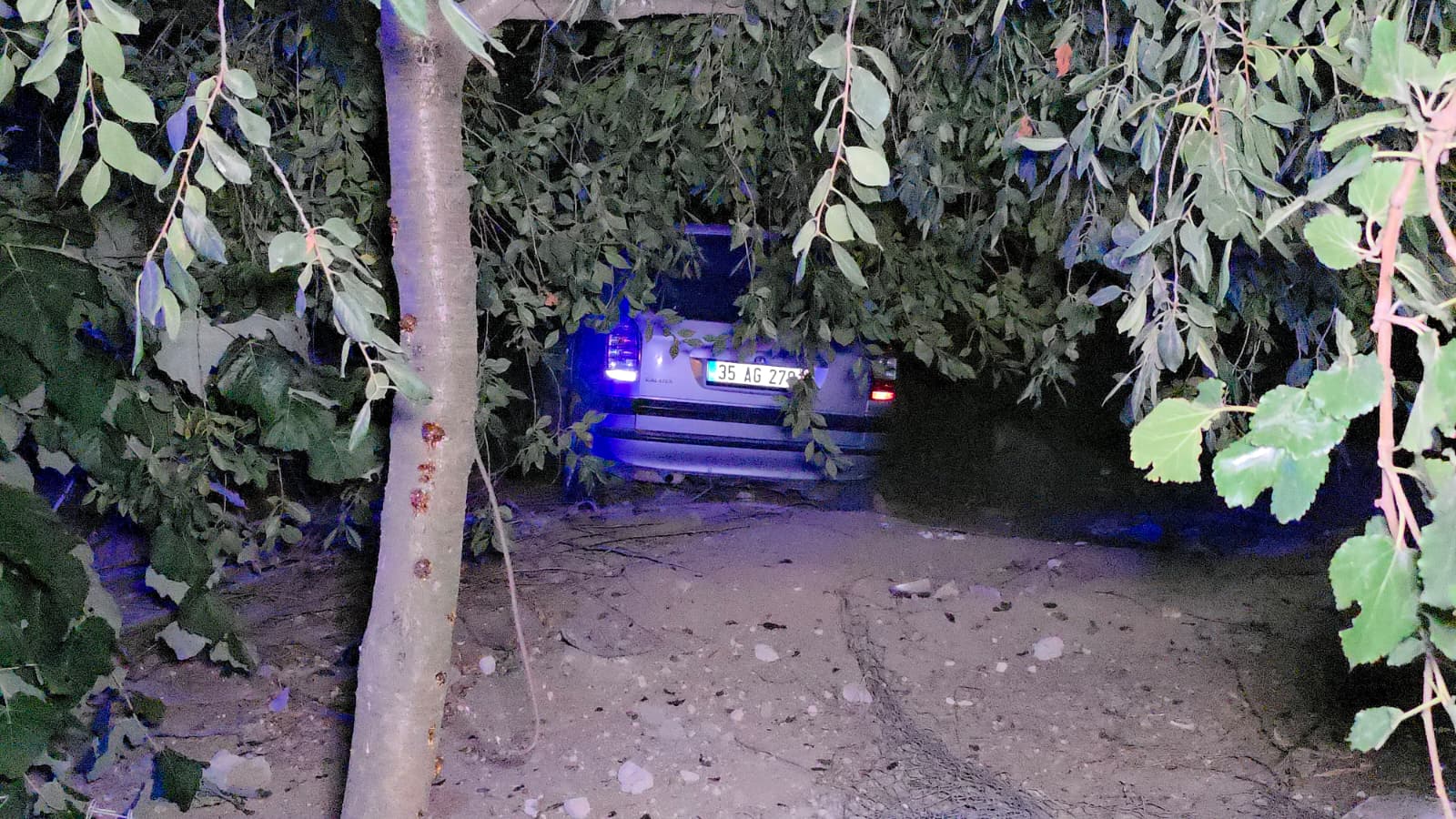 Yoldan çıkıp bahçeye daldı