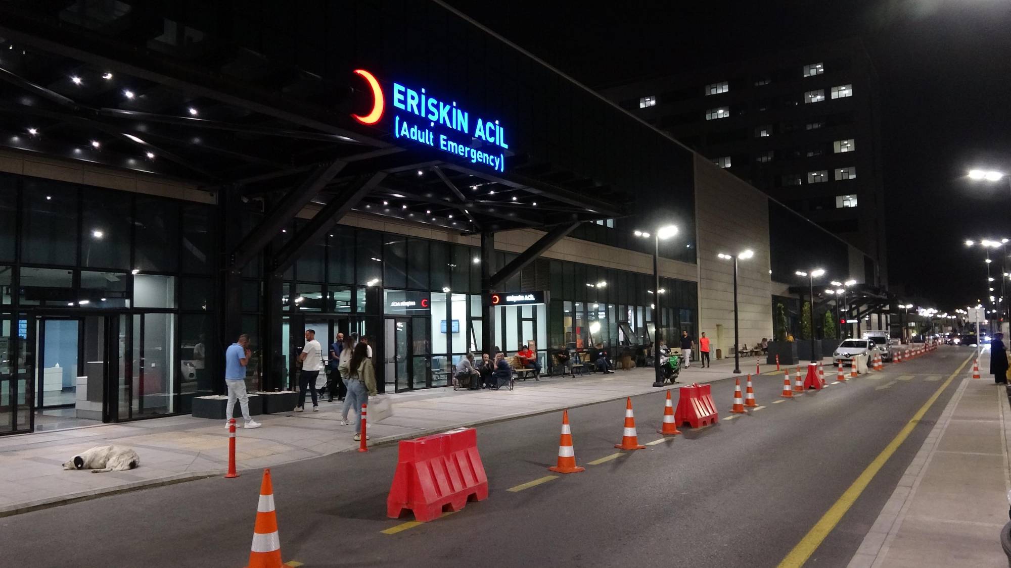 Köpeği vurmak isterken yaşlı çifti vurdu: bir ölü bir yaralı