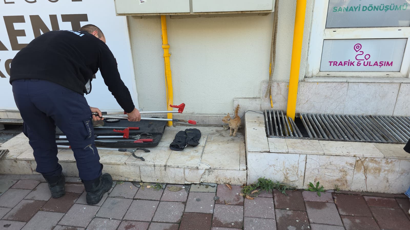 Yavru kedi mahsur kaldığı yerden çıkarıldı