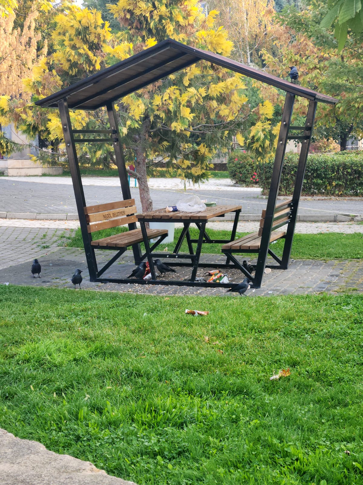 Başlığa siz karar verin