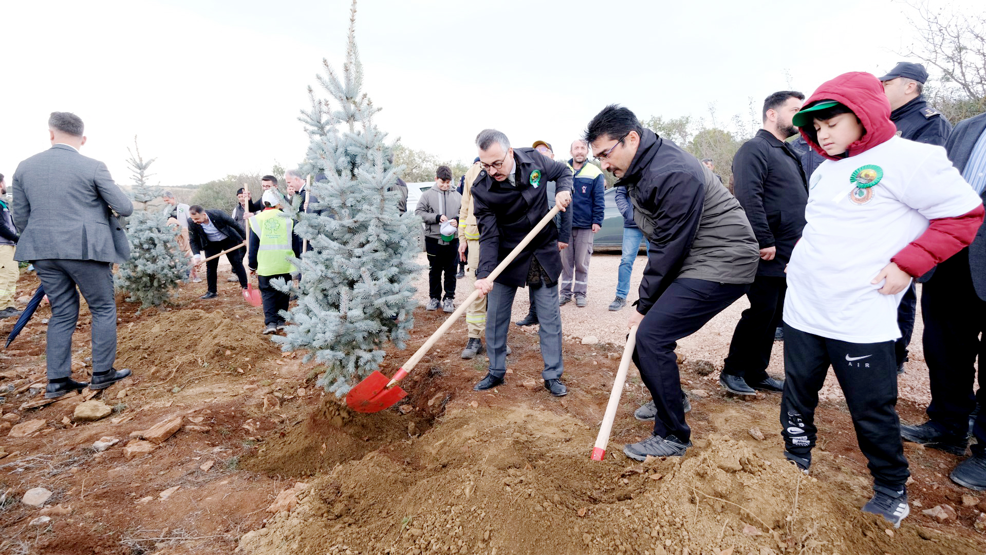 iNEGöL’DE 540 BiN FiDAN TOPRAKLA BULUŞACAK