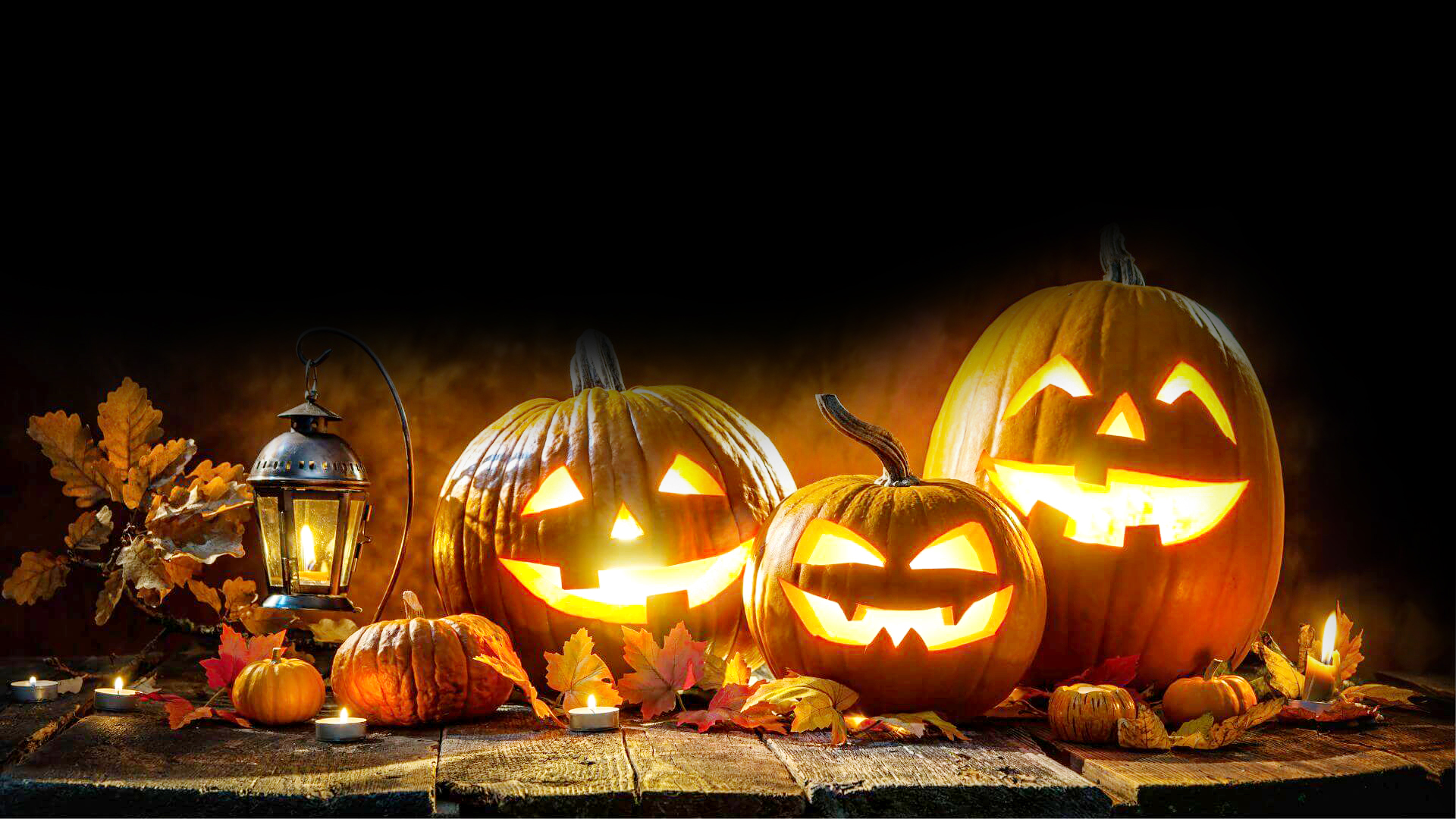 Türk’e ‘cadı’ yakışmaz