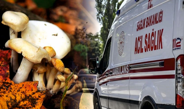 Mantardan zehirlendi