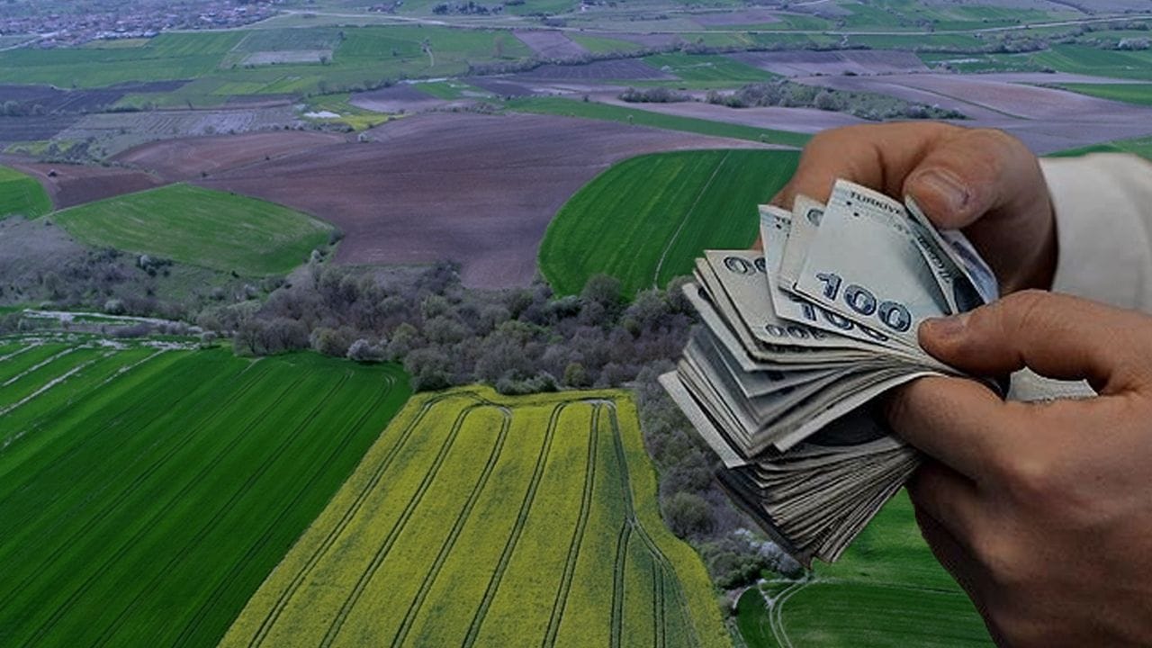 Satıcıların açgözlülüğü güveni sarstı