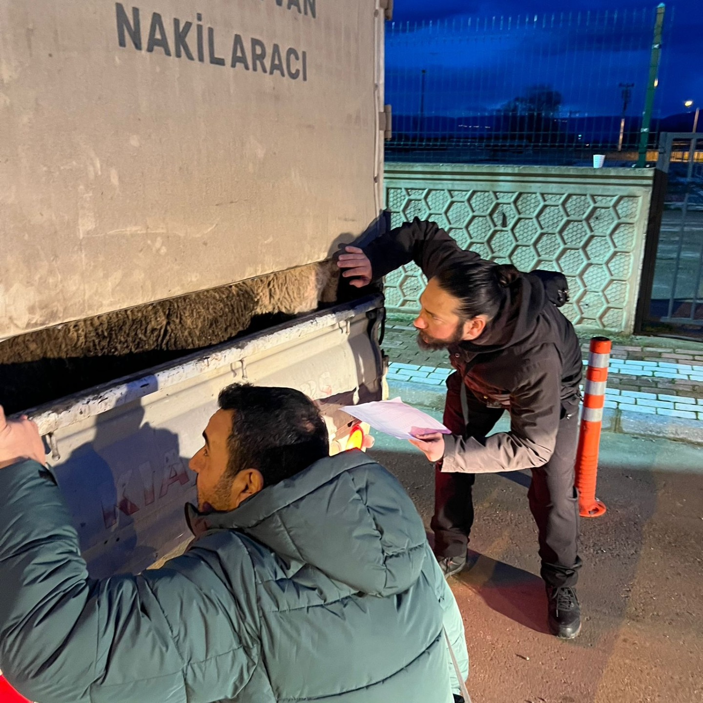 İnegöl’de hayvanlar tek tek kontrol edildi